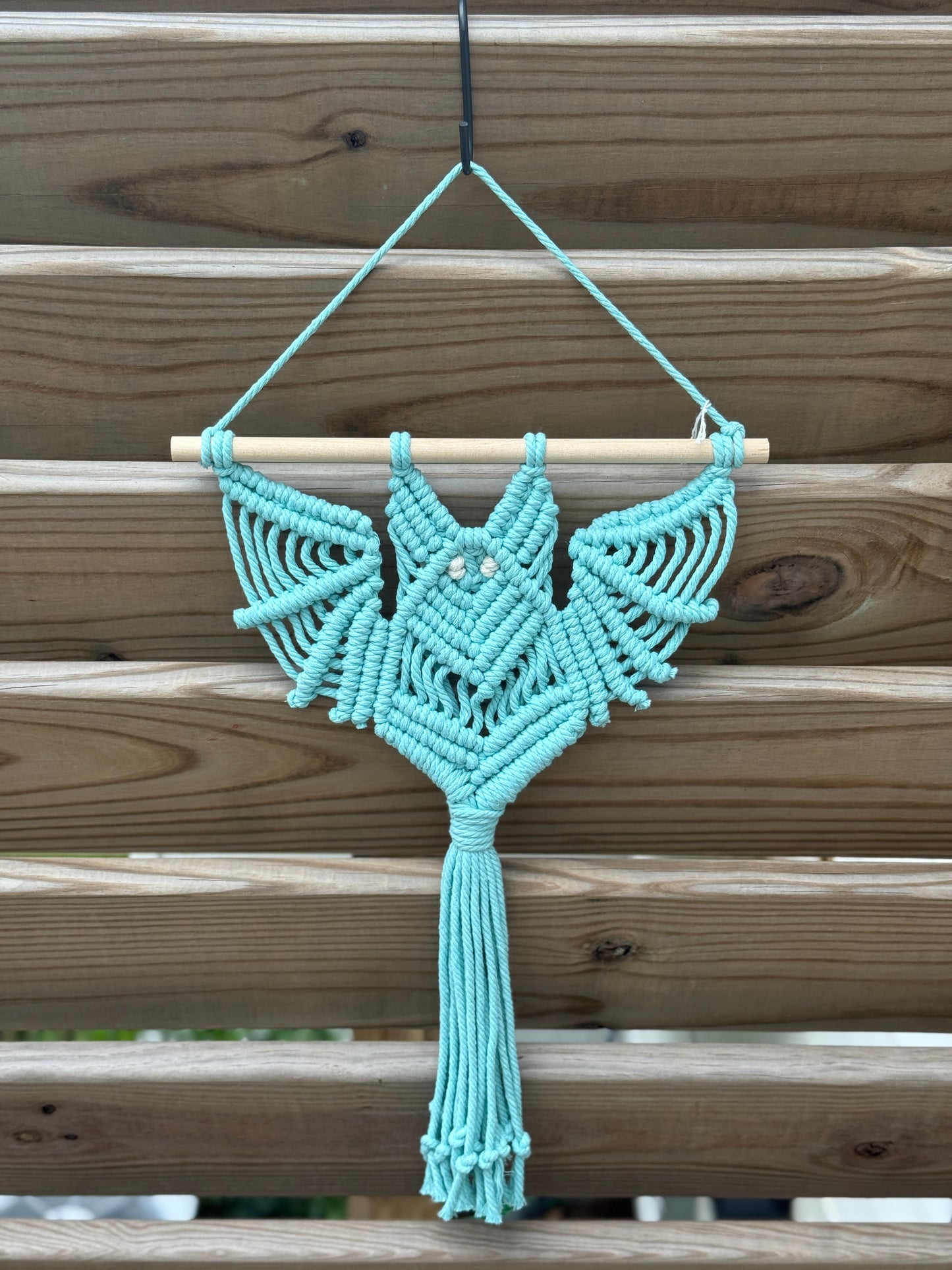 Bat Hanging