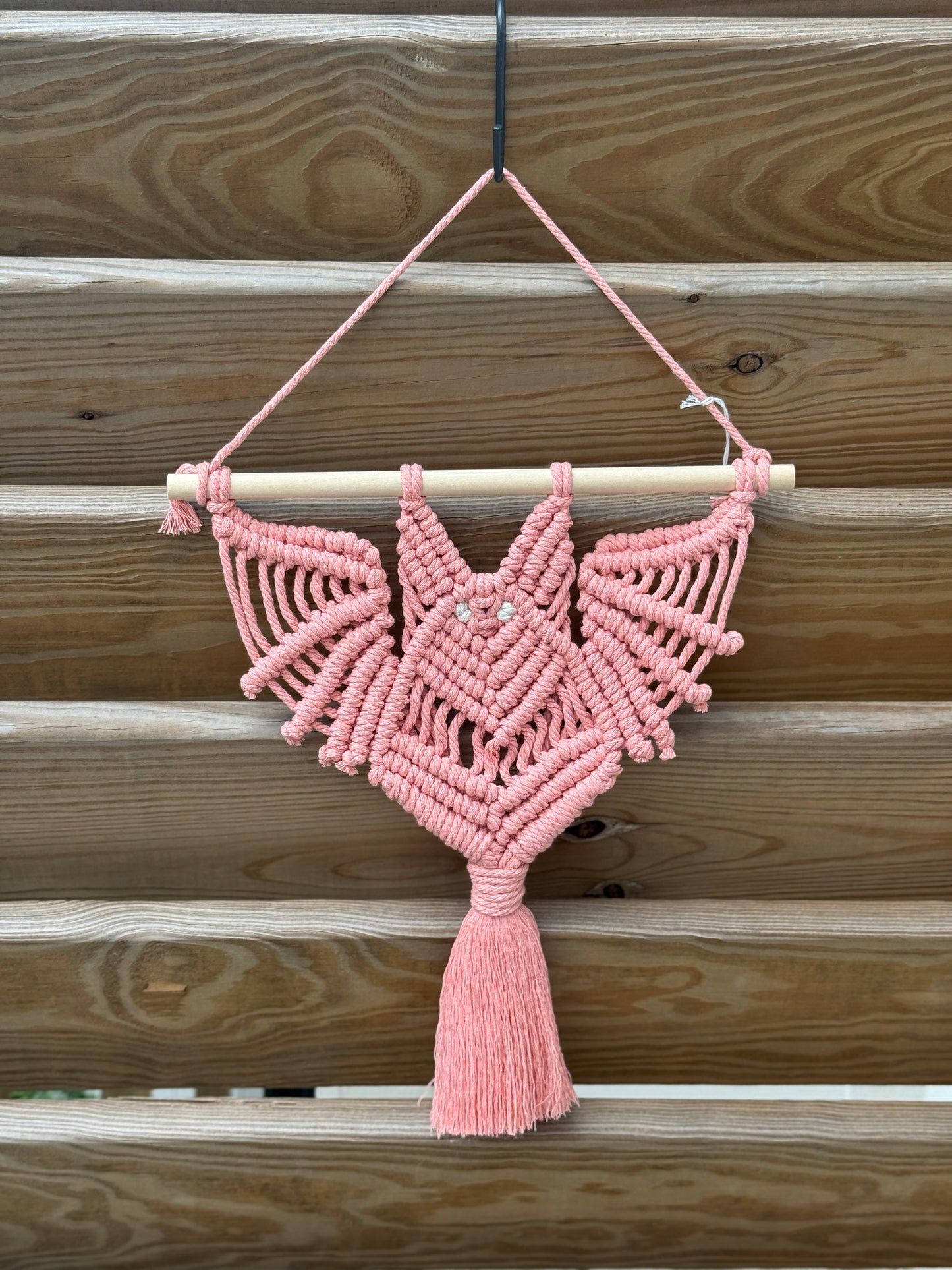 Bat Hanging