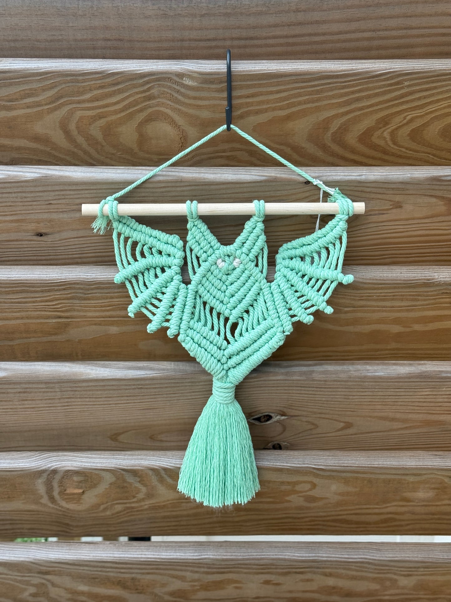 Bat Hanging