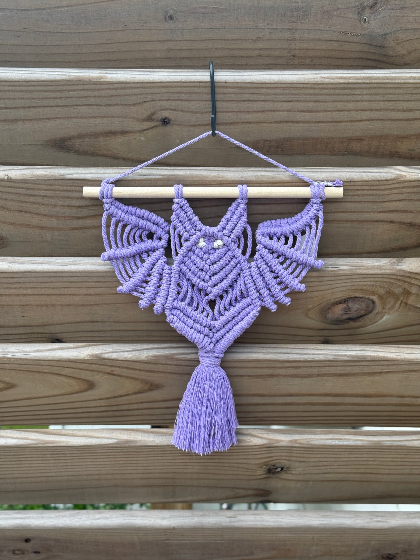 Bat Hanging