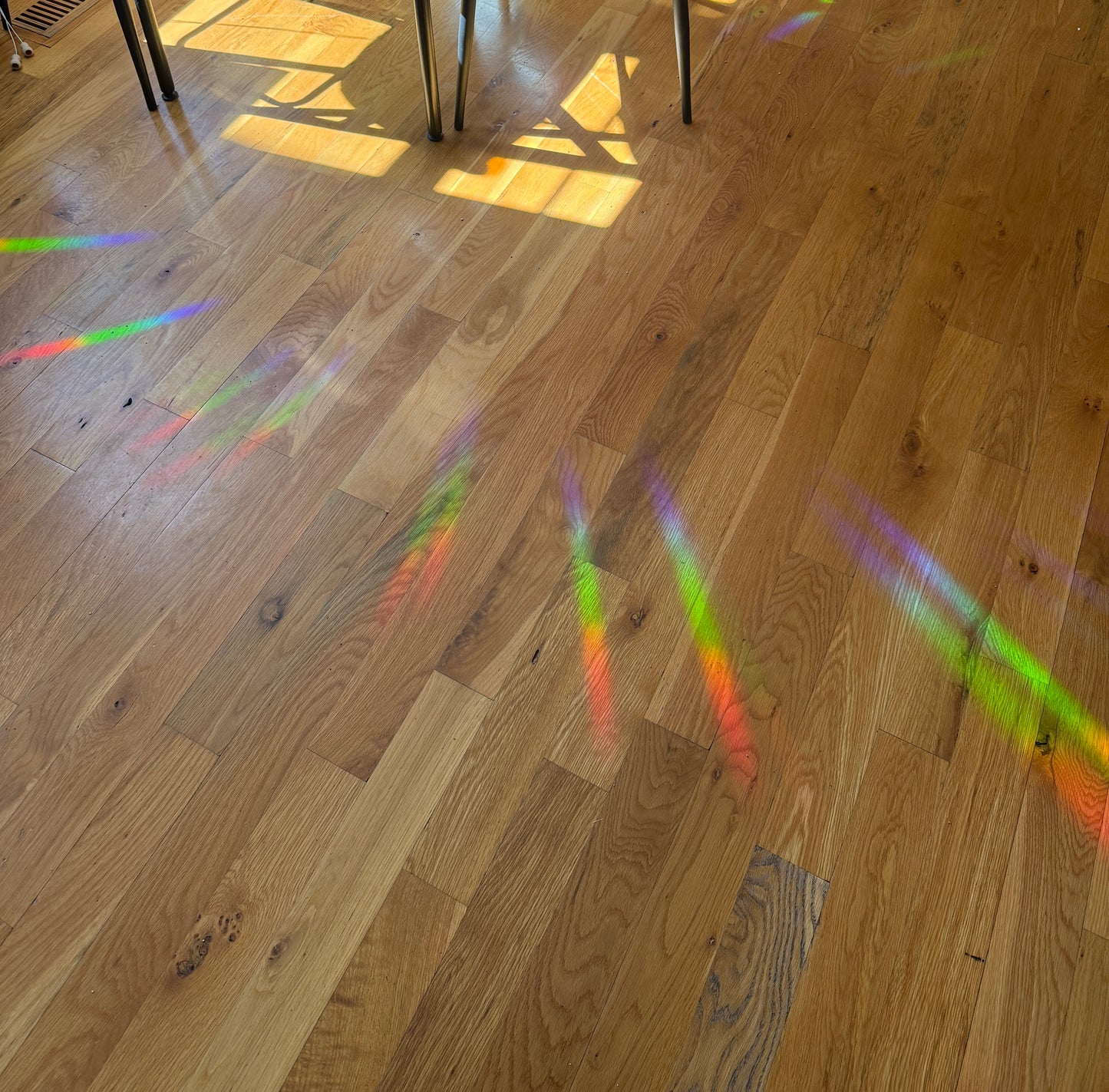 Sun Catcher Sticker